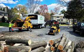 Pest Control for Lawns in Colma, CA