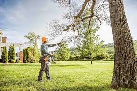 Best Lot and Land Clearing  in Colma, CA